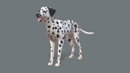 Dog dog, pet, hunter, spot, spotted, dalmatian, animal, noai