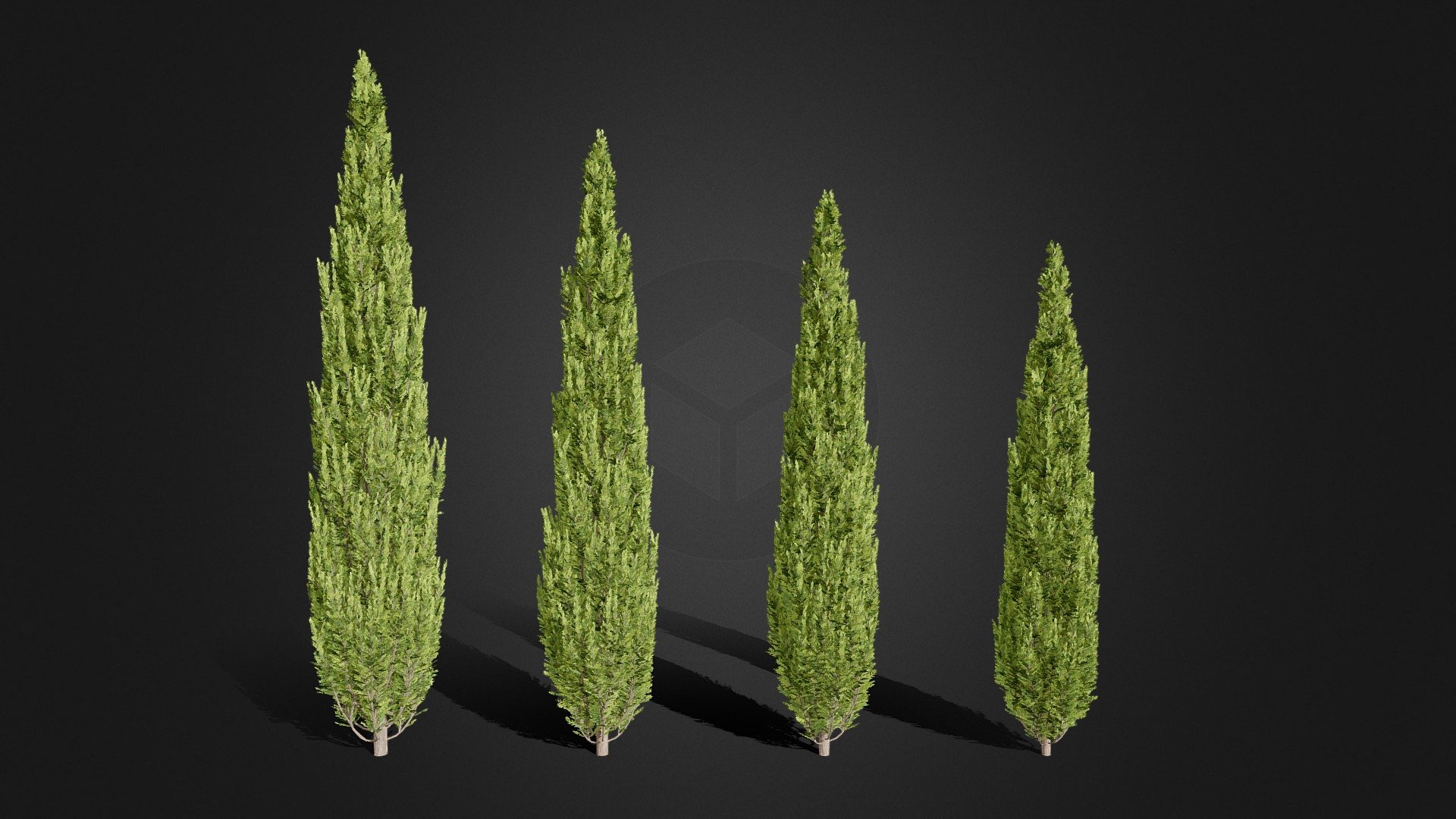 A set of 4 trees of heights: 3,1m; 2,8m; 2,5m; 2,3m
Created in Blender 2.92 - Cypres/Thuja Trees - Buy Royalty Free 3D model by marcin_malcherek 3d model
