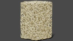 Bone Structure cross, anatomy, biology, section, bone, cut, tissue, inside, science, grid, marrow, microscopic, calcium, osteoporosis, porous, texture, structure, medical, human, spongy, sceletal
