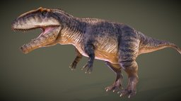Giganotosaurus (for animation)
