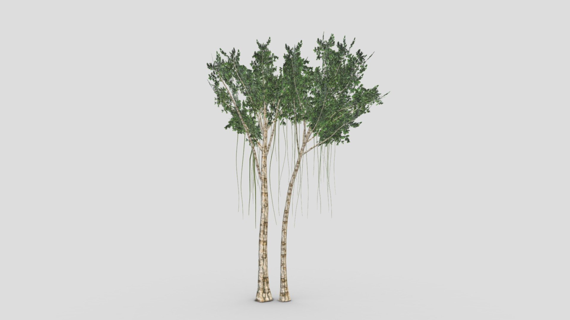 This is a 3D low poly model of the Agarwood Tree. I designed this tree based on my reference. I hope you will use this in your project.
AgarwoodTree - Agarwood Tree- 01 - Buy Royalty Free 3D model by ASMA3D 3d model