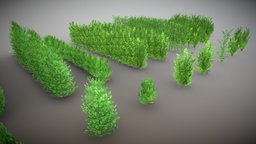 Hedges and Bushes (Wip-1) tree, green, plant, leaf, branch, environmental, bushes, branchs, hornbeam, vis-all-3d, 3dhaupt, software-service-john-gmbh, green-leaves, hornbeam-leaves
