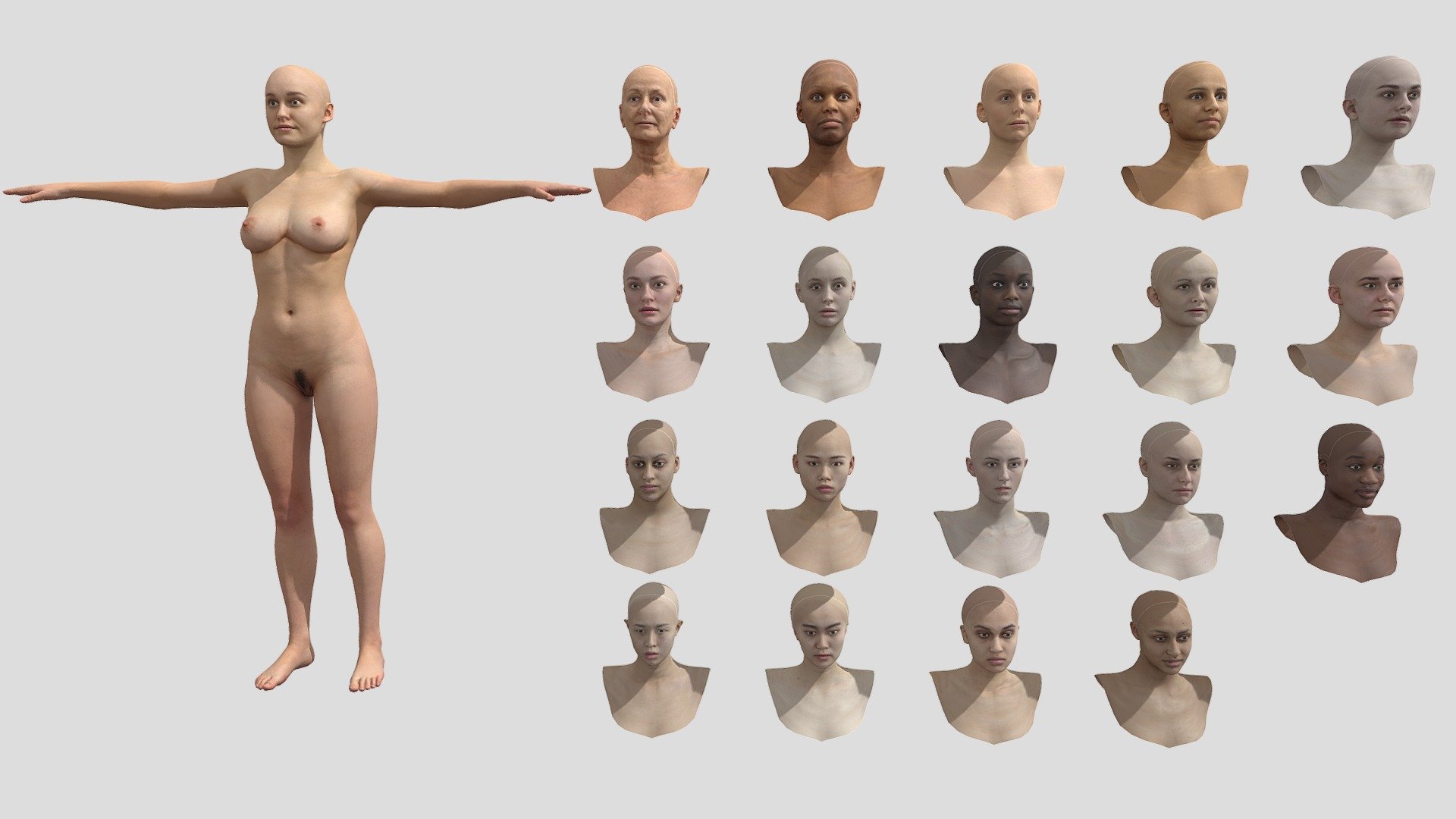 Collection of human females I setup sometime ago using scan data.  All heads use the same facial rig and were setup to use with faceware for easy real time facial tracking.  Feel free to contact me if you are interested in any of this via our listed email 3d model