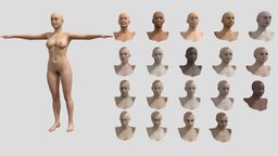 Human Females heads, woman, character, photogrammetry, man, female, human, male
