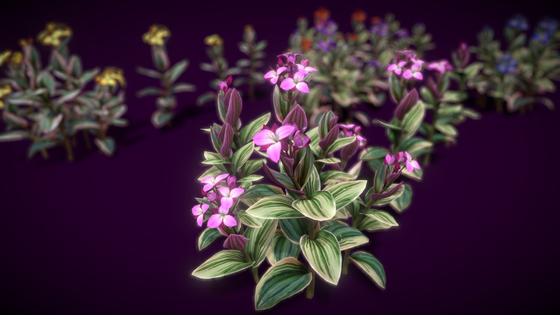 HIGH QUALITY Flower optimized for Unity game engine!
Mobile Optimize Scene This is model 3D Flower Tradescantia Nanouk in the Big Pack (Cartoon Flower Colections) with over 5 types color!
All objects are ready to use in your visualizations. 
-1024x1024, texture maps 
-Poly Count : Average 39988polys 73640 tris/39257 vert - Flower Tradescantia Nanouk - Buy Royalty Free 3D model by vustudios 3d model