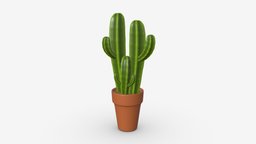 Cactus in pot 03 stylized green, plant, pot, flower, cactus, growth, natural, color, stylised, nature, planter, succulent, botanical, 3d, pbr, home, decoration