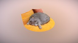 Sleeping Cat cat, sofa, cute, orange, pet, grey, sleeping, domestic, fold, scottish, zephyr, 3dflow, 3dscan