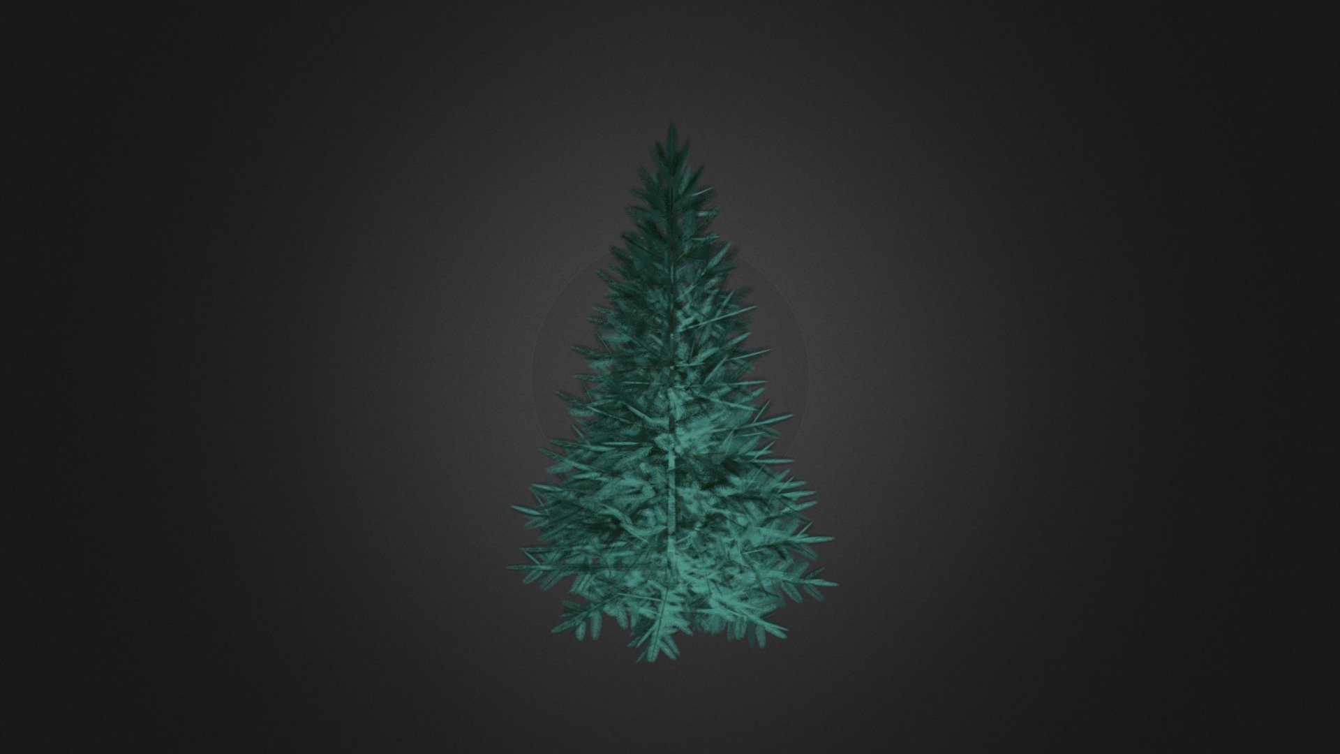 Blue Spruce (Picea pungens) 2.2m - Blue Spruce (Picea pungens) 2.2m - Buy Royalty Free 3D model by cgaxis 3d model