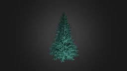 Blue Spruce (Picea pungens) 2.2m tree, plant, forest, white, obj, park, gree, american, foliage, fbx, bark, colorado, nature, needle, spruce, corona, conifers, coniferae, pinophyta, vrmesh, picea, pungens, cinema4d, blue