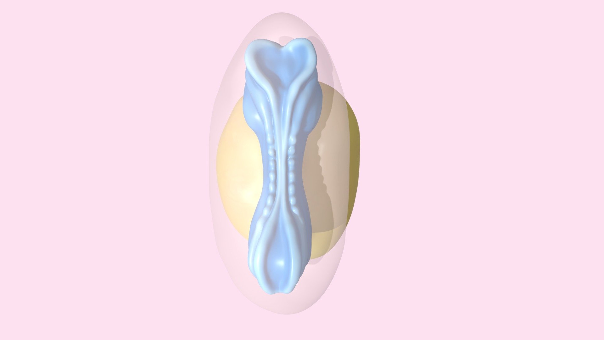 Human Embryo Day 22

Created by Sophia Lappe
www.sophialappe.com - Embryo Day 22 - Download Free 3D model by University of Dundee, CAHID (@anatomy_dundee) 3d model