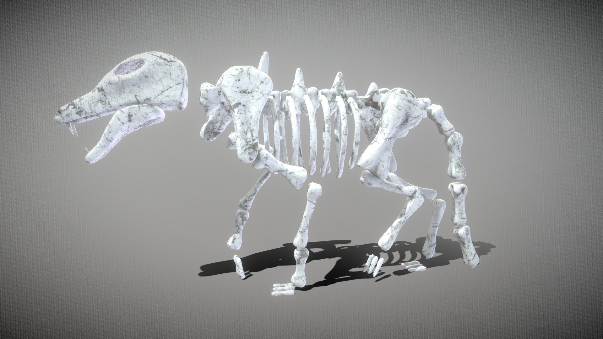 This is a cool wolf skeleton model.

If you want more cool models, or you have any ideas, please feel free to contact us.

E-mail: sgzxzj13@163.com - Wolf Skeleton - 3D model by Easy Game Studio (@Jeremy_Zh) 3d model