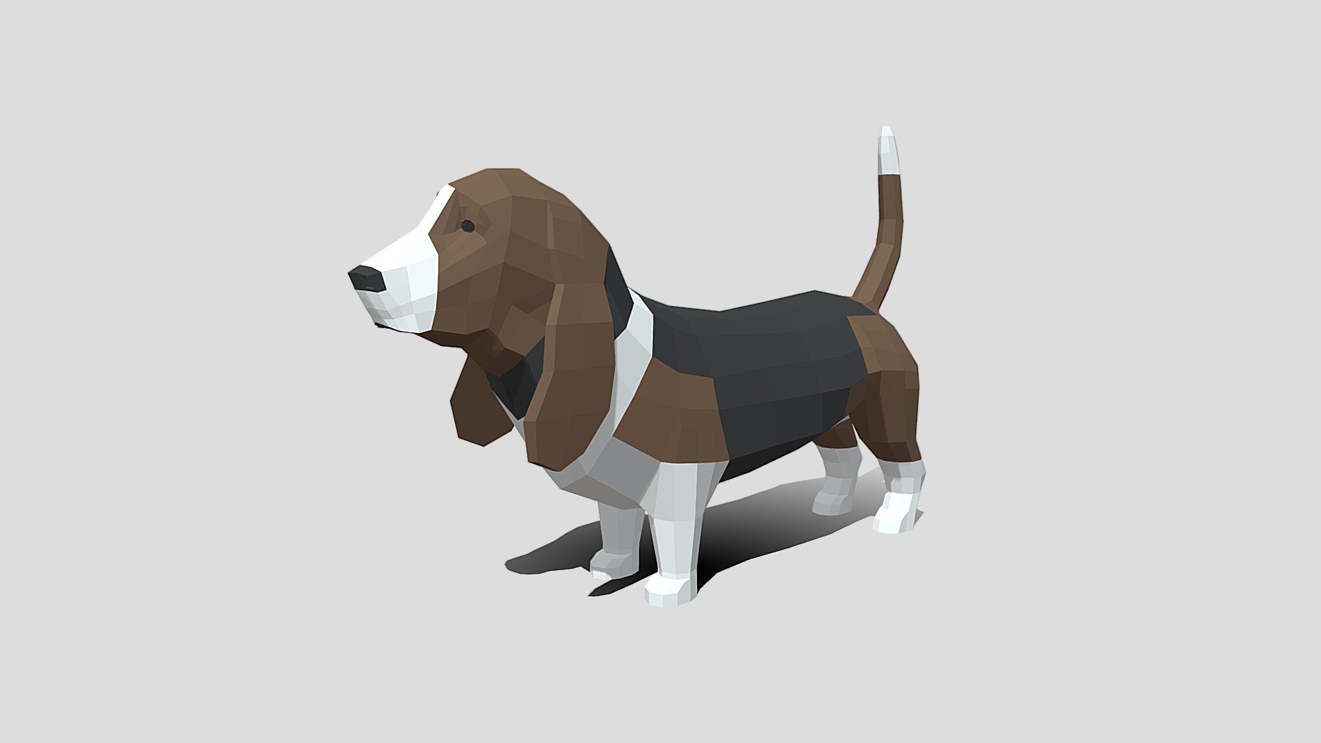 This is a low poly 3D model of a basset hound dog. The low poly dog was modeled and prepared for low-poly style renderings, background, general CG visualization presented as a mesh with quads only.

Verts : 900 Faces: 898

The 3D model have simple materials with diffuse colors.

No ring, maps and no UVW mapping is available.

The original file was created in blender. You will receive a 3DS, OBJ, FBX, blend, DAE, Stl.

All preview images were rendered with Blender Cycles. Product is ready to render out-of-the-box. Please note that the lights, cameras, and background is only included in the .blend file. The model is clean and alone in the other provided files, centred at origin and has real-world scale 3d model