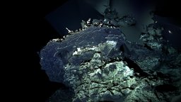 Low Poly Deep Sea Hydrothermal Vent #8 film, organic, white, underwater, geology, shipwreck, deepsea, coral, cgi, science, saltwater, brine, vents, salt, hydrothermal, pools, realitycapture, photogrammetry, lowpoly, model, scan, technology, structure, sea, brinepools, hydrothermalvents, blacksmoker, whitesmoker