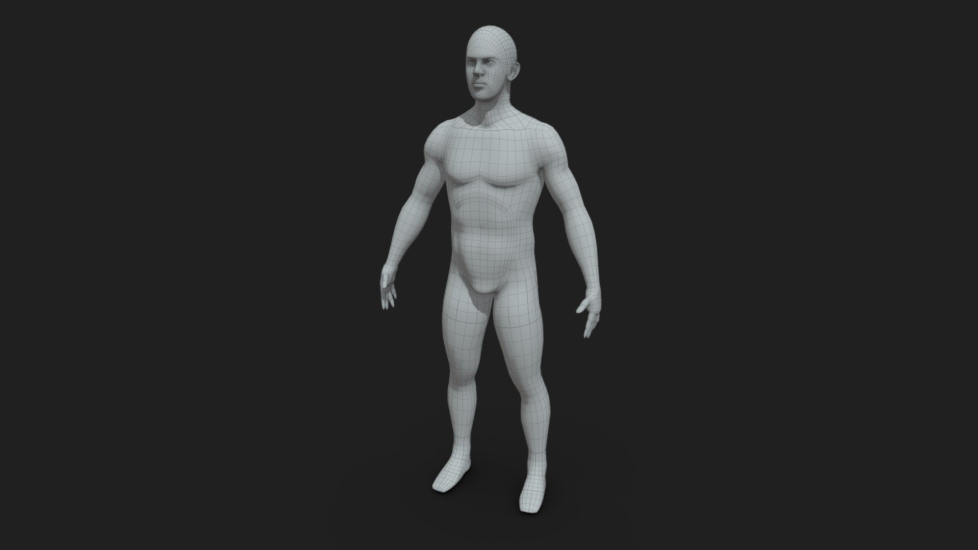 Base_male_mesh - 3D model by Roman Berezyak (@yamagsummi) 3d model