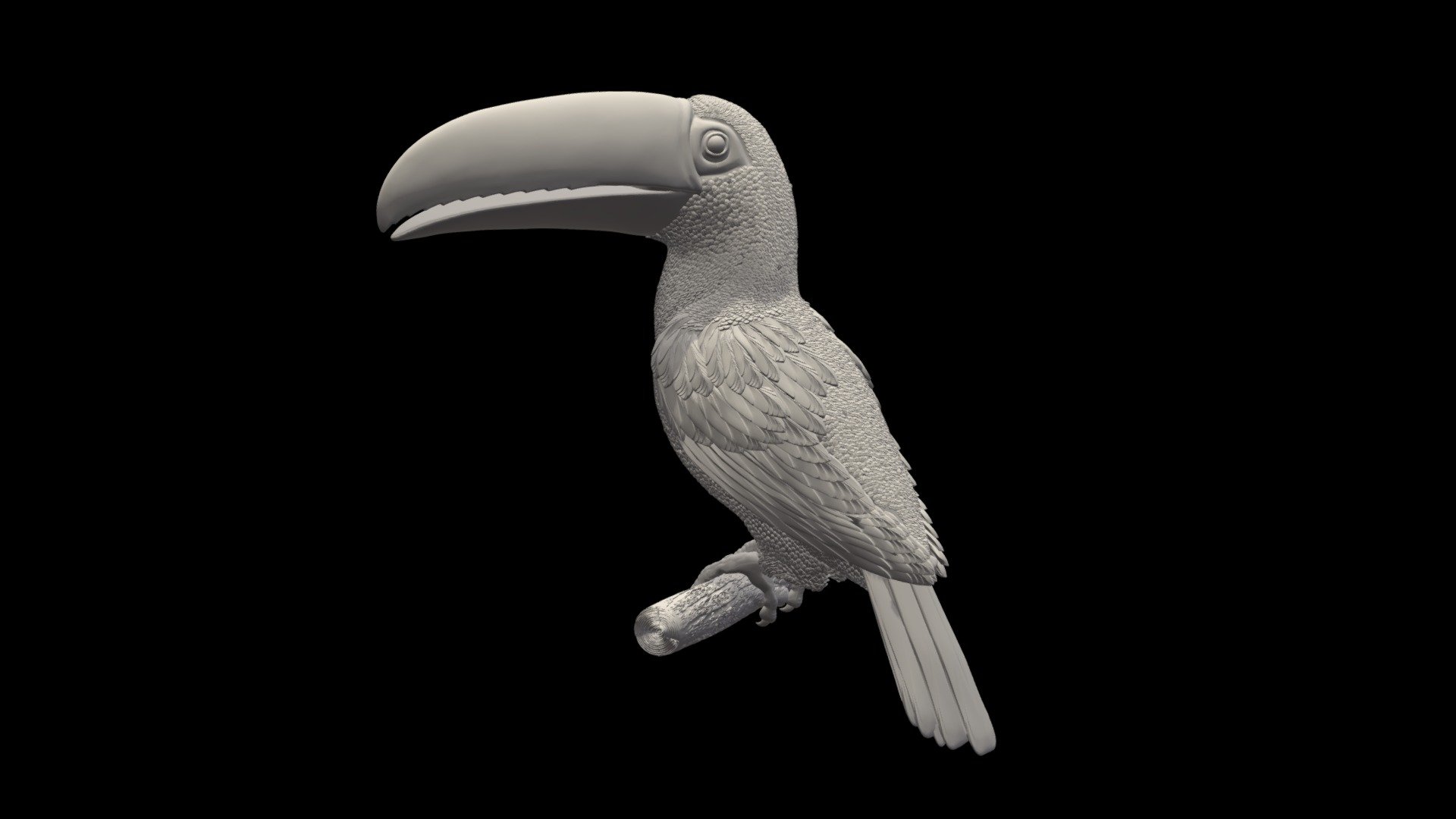 tucan The format is OBJ, STL, Zbrush.

model for printing on a 3d printer 3d model