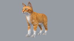Cat cat, red, kitty, pet, domestic, lowpoly, animated