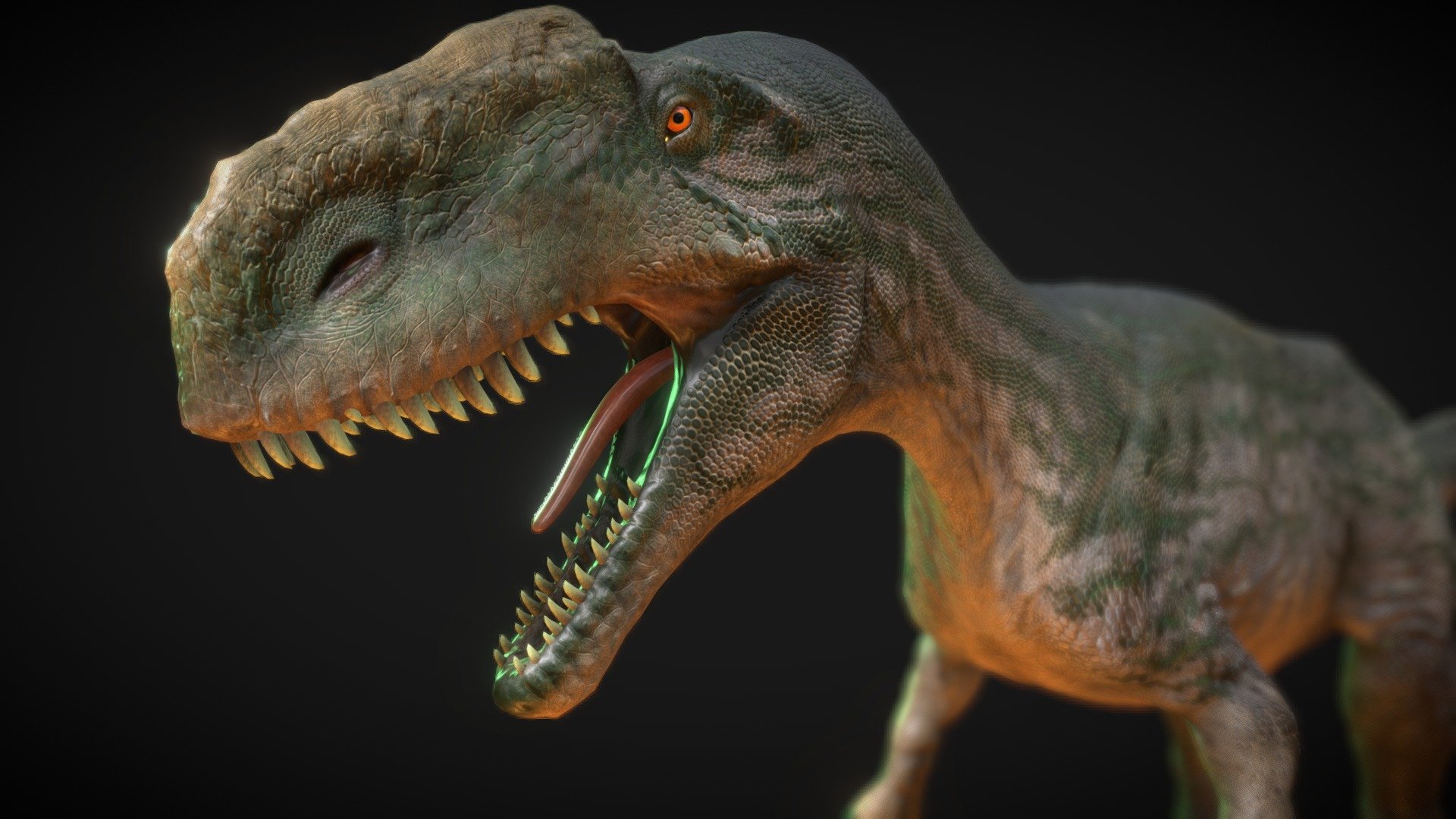 Monolophosaurus, a dinosaur from the Middle Jurassic period, steps into the prehistoric spotlight with its distinctive crest. This theropod, known for its single crest on the top of its skull, roamed the ancient landscapes of what is now China.

With a bipedal stance and sharp teeth, Monolophosaurus was a carnivorous predator, likely hunting smaller dinosaurs and other prey. While its crest was not as elaborate as some other crested dinosaurs, it adds to the diversity of theropods from the Jurassic era.

Embark on a journey to the Middle Jurassic with Monolophosaurus, a unique theropod that adds a touch of intrigue to the dinosaur kingdom. Explore the mysteries of this crested dinosaur with - Monolophosaurus - Buy Royalty Free 3D model by robertfabiani 3d model