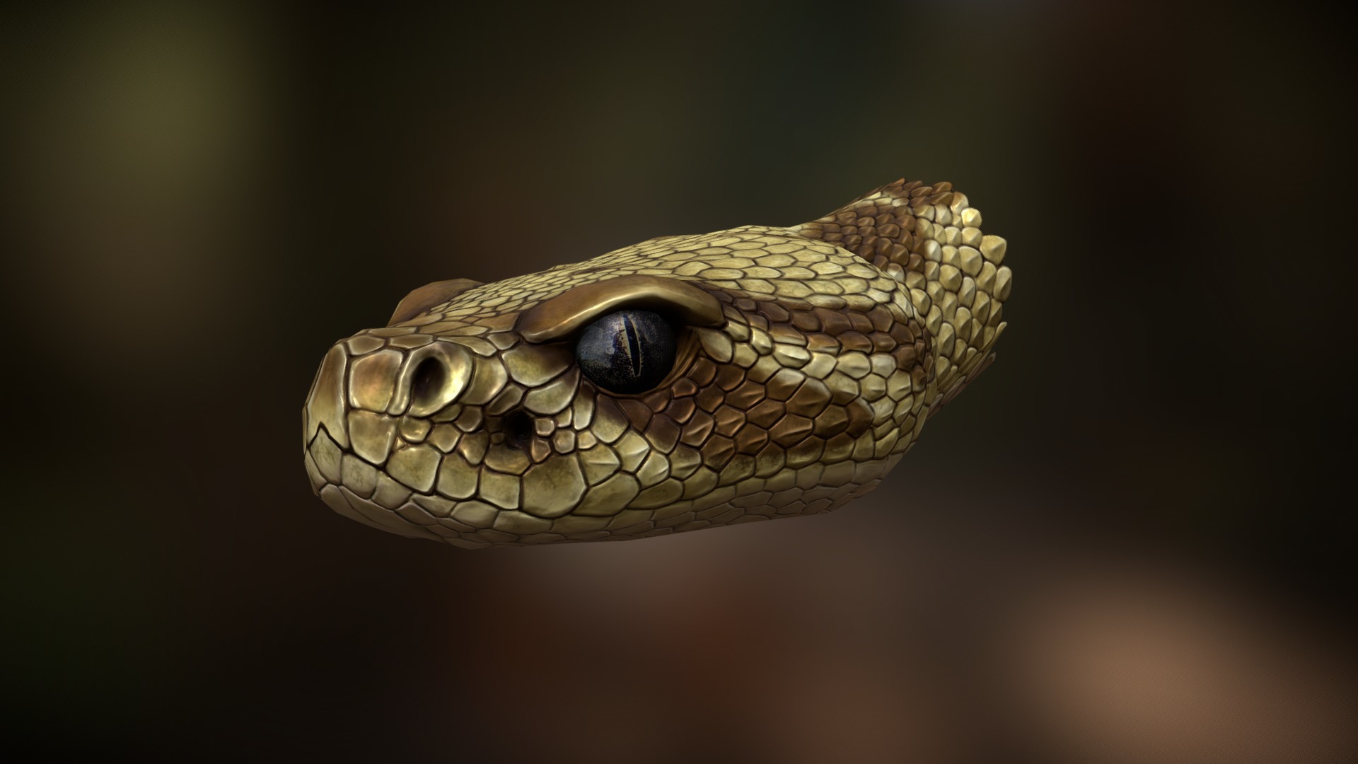First try paint texture using 3D Coat, hope you like it :D - RattleSnake Bust - 3D model by menglow 3d model