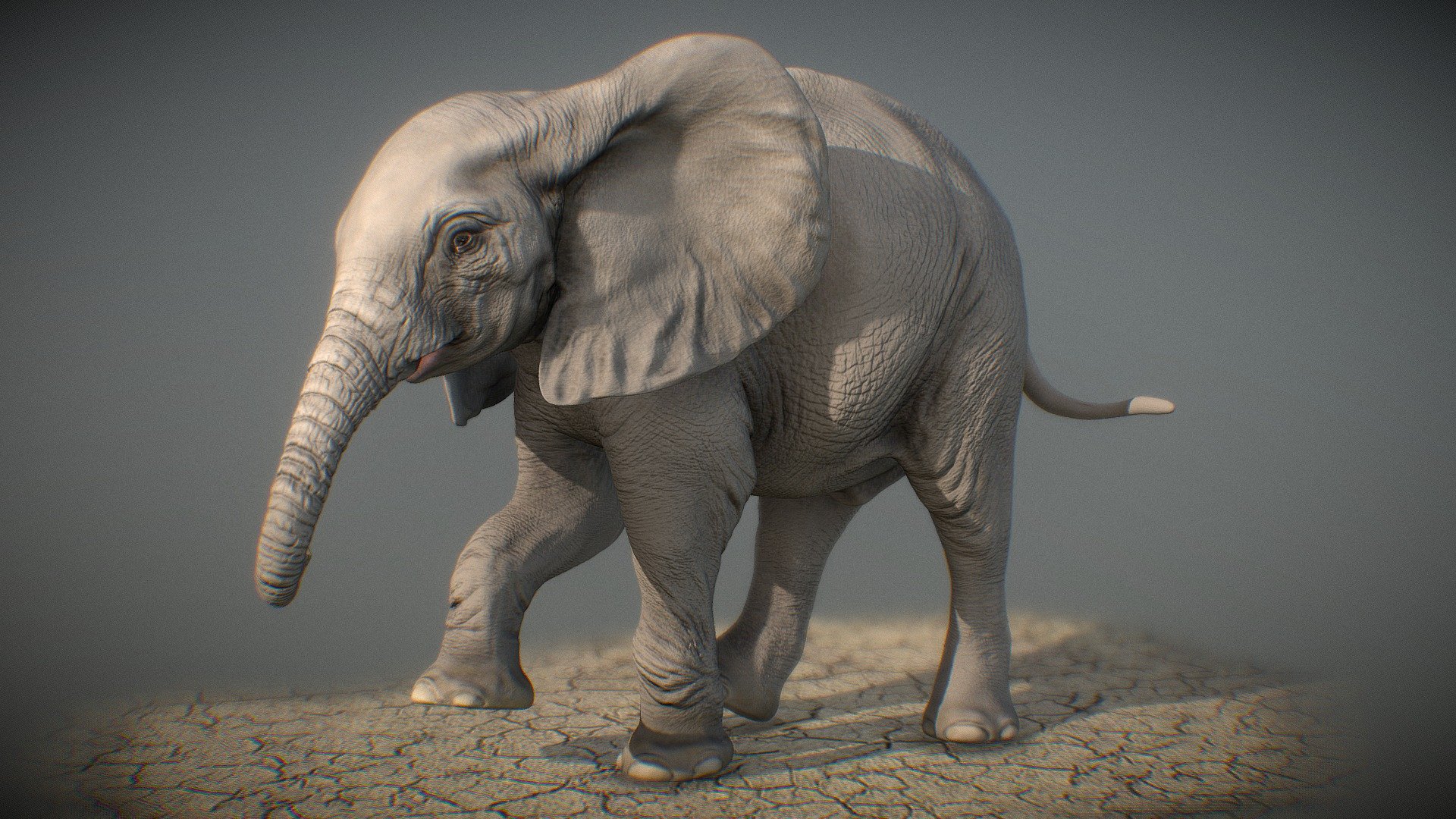 African Elephant calf sculpt - 3D model by ravijtanchal 3d model