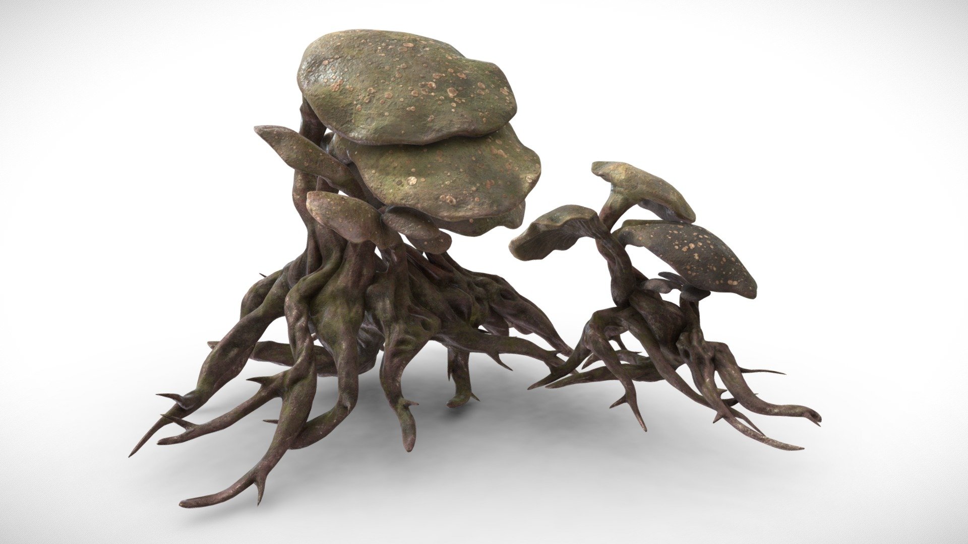 Comes with several 4096x4096 Textures, and two model variations.

Textures are:
* Diffuse
* Roughness
* Metallic
* Normal - Alien Plant Fantasy Mushroom #1 - Buy Royalty Free 3D model by Davis3D 3d model