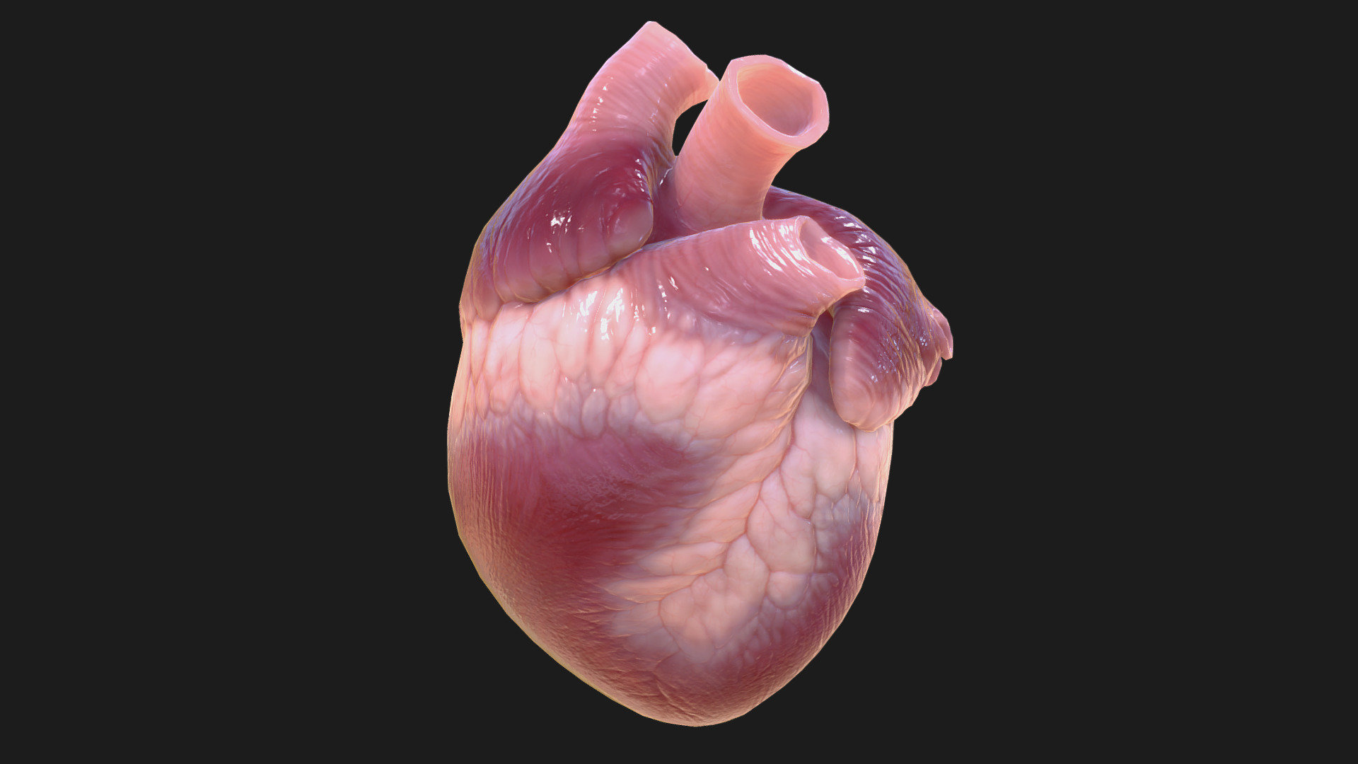 Pickable item for game.

For Pathologic game 

http://www.pathologic-game.com/index.php?language=en

by Ice-Pick Lodge

http://ice-pick.com/en/ - Pathologic (2016). Heart - 3D model by goldengrifon 3d model
