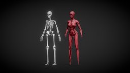 Bones And Muscle For Baking