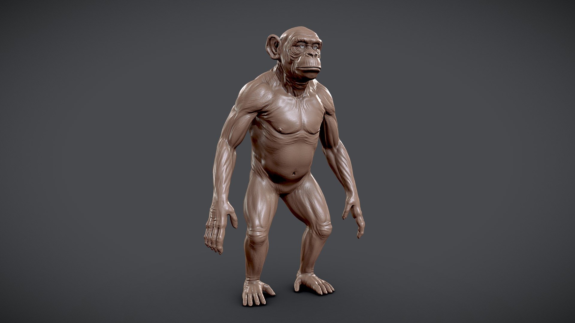 Click the link to get the model:


https://www.artstation.com/a/28482134
Chimpanzee model was made in Zbrush and retopo and UV Unwrap in  Maya with proper topology and looping with Unwraped UV and no over lapping.

Ready for sculpting and texturing&hellip;

File format:





Obj




Fbx ( low, High )




Maya file ( low, Map) 




Blender file ( Map, Sculpt)




Zbrush file 




Displacement



Inside the product:





clean topology




Single Udim 




unwrapped Uvs for texturing




no overlapping UVs




proper naming and grouping




no unwanted shaders and history.



You may also like:


👉 https://skfb.ly/oSAX8 👈



👉 https://skfb.ly/oQ9oN 👈
 - Chimpanzee Sculpt - Buy Royalty Free 3D model by Tashi59 (@tsering) 3d model