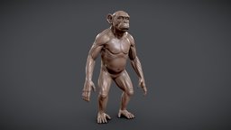 Chimpanzee Sculpt monkey, chimp, chimpanzee, wild, gorilla, game, model, zbrush, animal
