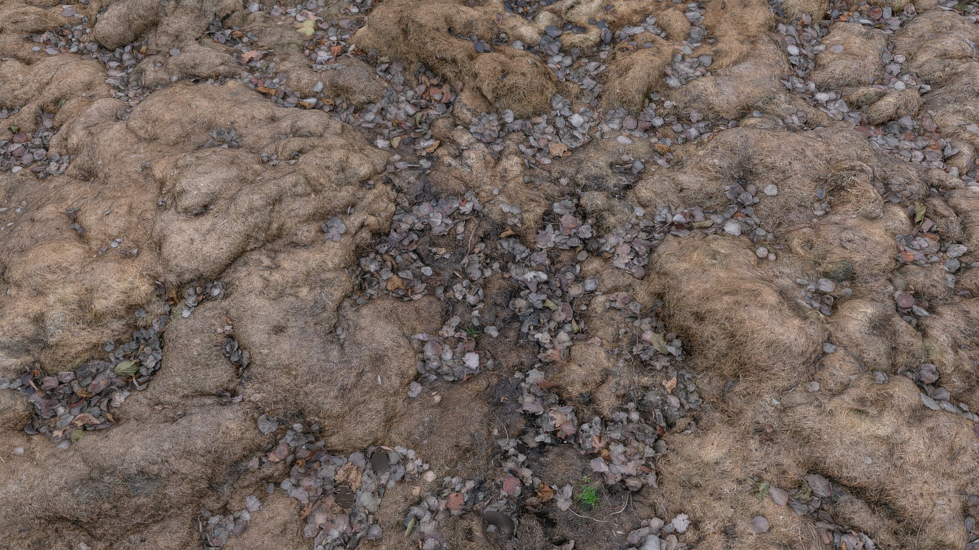 Semi decomposed Composted cut grass mown lawn waste junk heap composter bin gardening pile

photogrammetry scan (24MP x 250 photos, 3x16K texture + HD normals as additional .zip) - Composted cut grass - Buy Royalty Free 3D model by matousekfoto 3d model