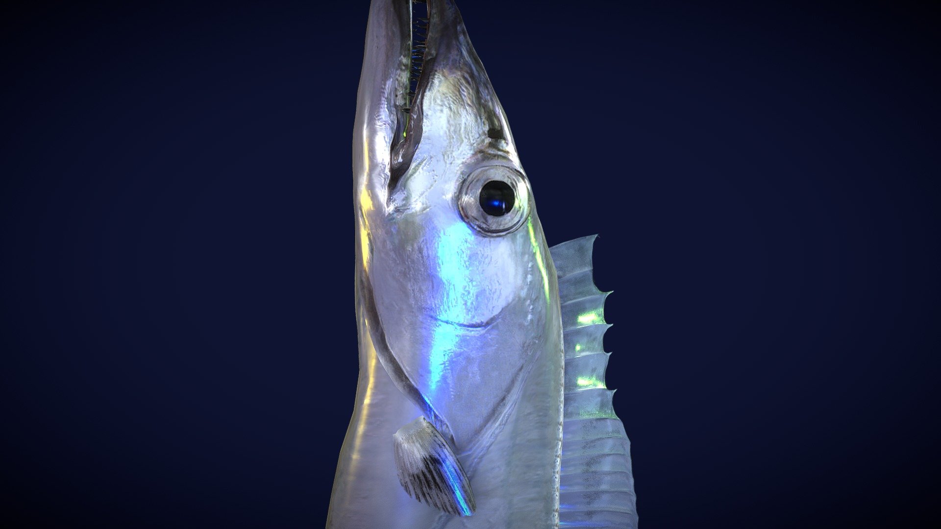 I'm producing aiming at realistic fish. It was made in Blender.
The resolution is lowered a little, and it's being indicated.

There are a blender file and a fbx file for Unity.
fbx for Unity makes the fin tension of both sides. WebGL used actually in unity Please refer to this website.
https://turidata.blog.fc2.com/blog-entry-28.html

When needing information about fish, please refer to MEA AQUA website, It's my site  (language: Japanese).

If you would like to purchase(25$~35$), please leave a comment on our website.It can be purchased in a format such as .blender, FBX, GLB, etc 3d model