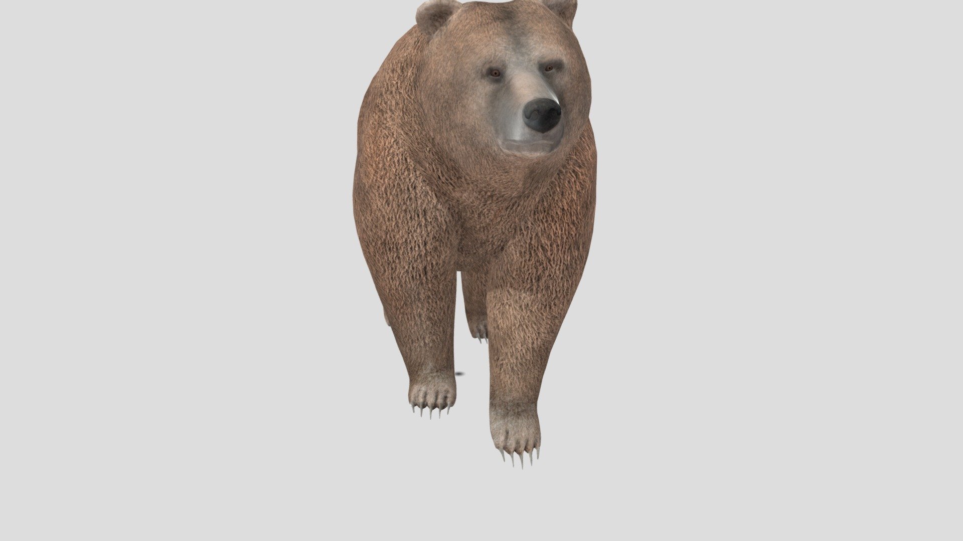 Bear animated /rigged - Bear - Download Free 3D model by Nyilonelycompany 3d model