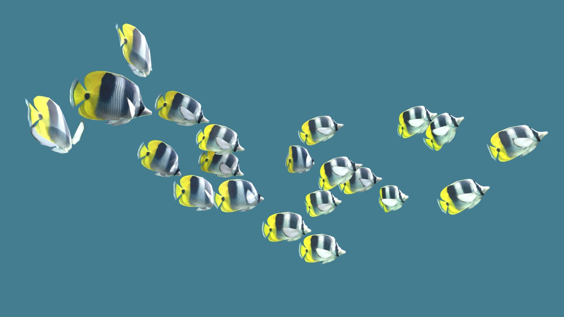 Schooling of Double-Saddle Coral fish animated in a loop.


The school of fish contains 21 fish. The fish created in Maya. All Fish Animated in the loop duration 30 sec.


All fish don't cross each other



Blue and Yellow fish: https://skfb.ly/6UUZo



Separately fish: 

Blue Fish : https://skfb.ly/6UUYX

Yellow Fish:  https://skfb.ly/6UIBZ



Schooling Fish in cycle: https://skfb.ly/6Tyr6 - Schooling Double Saddle Fish - Buy Royalty Free 3D model by CGSoul 3d model