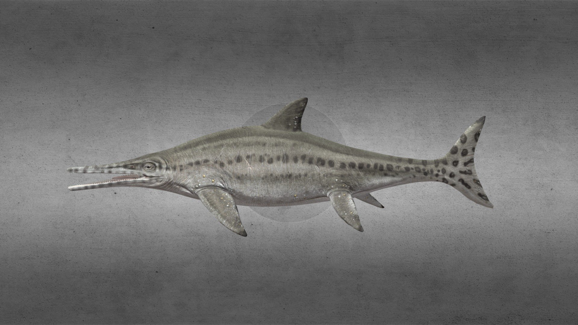 Swim animation - Platypterygius australis - 3D model by Queensland Museum (@queenslandmuseum) 3d model