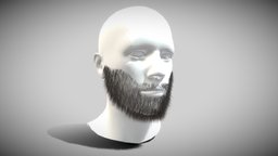 Messy Beard