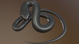Snake Model snake, blender, blender3d, animal