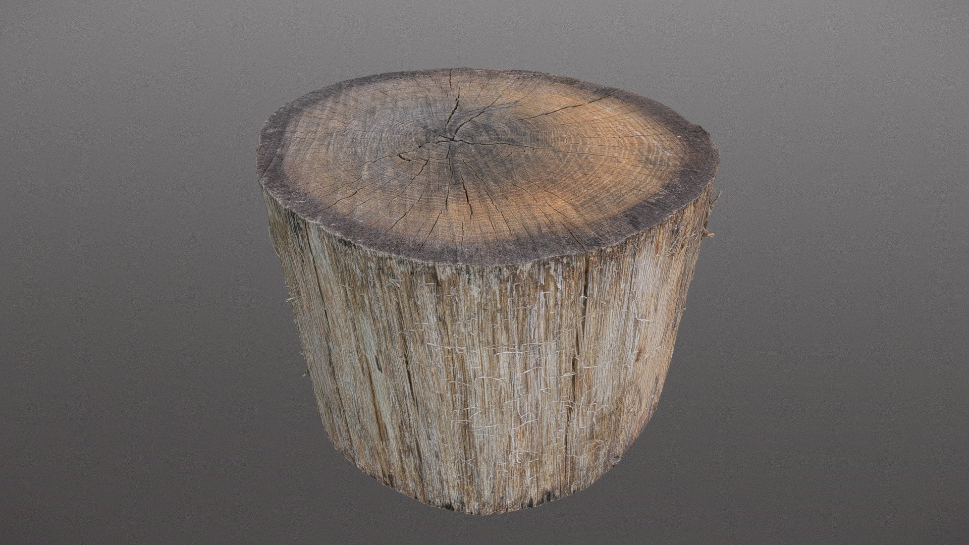 Spruce tree red old dry wood lumber log chunk timber material piece

photogrammetry scan (120x36MP), 3x8K textures + HD Normals - Old spruce log - Buy Royalty Free 3D model by axonite 3d model