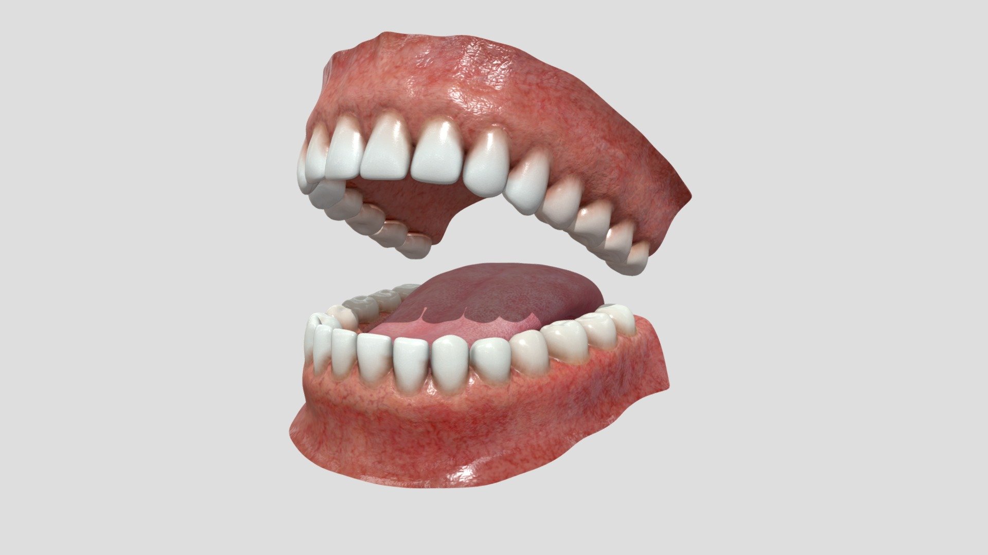 Teeth 3D Model. Ready for Games. PBR Materials. UV Map unwrapped. Textures in 4K. Formats: Lwo, Obj + Mtl, Fbx, Blender 3D 3d model