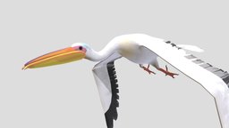 Cartoon Pelican with animations