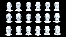Realistic expressions_Heads