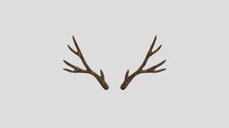 Reindeer Antlers horns, reindeer, antlers, deer-antlers, reindeer-antlers, deer-horns