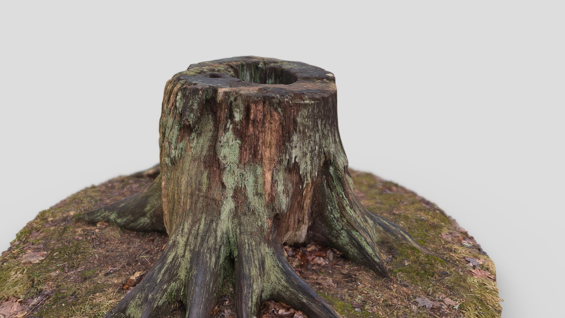 Tree stump created with photogrammetry from a video (4K60) 3d model