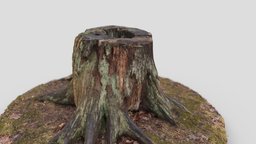 Tree stump tree, 3dscanned, scanned, stump, retopologized, photogrammetry, free