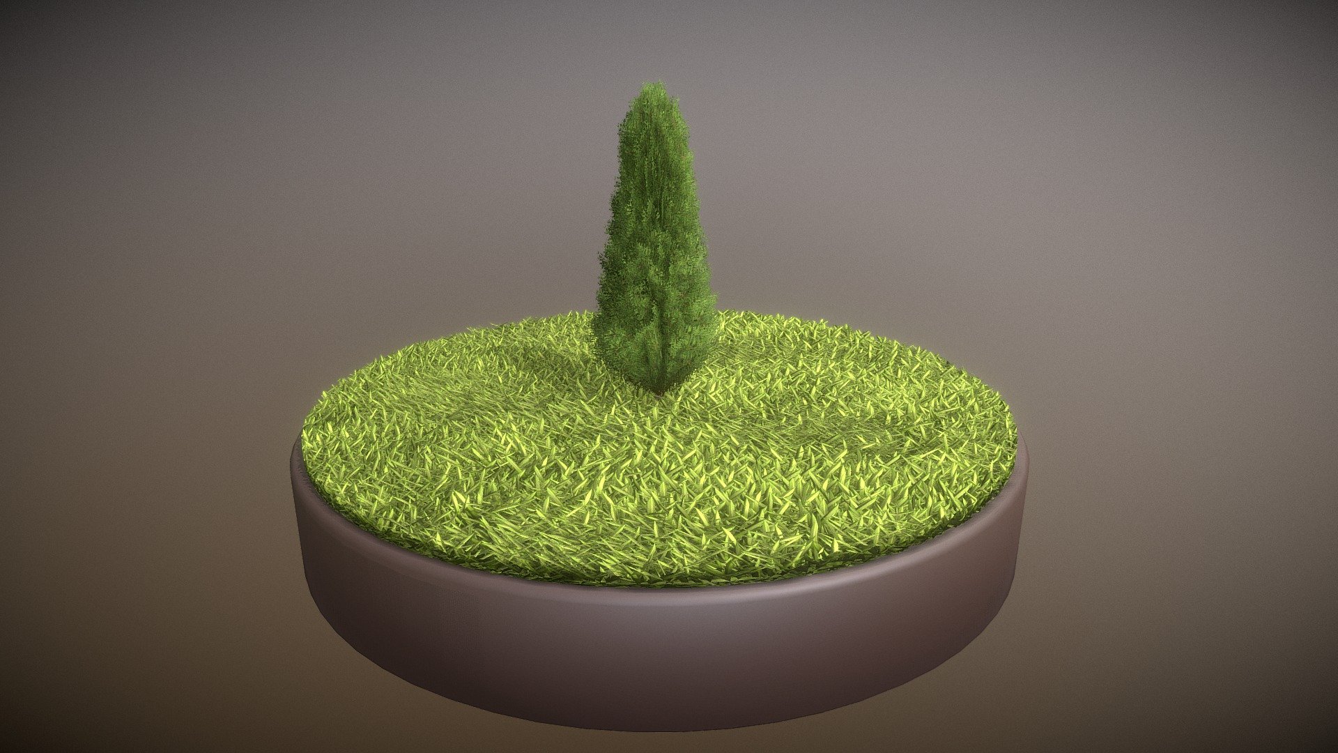 Here is a 1 meter high cypress for your garden scene or house visualization project.





Textures(4k):


Color map
Mask texture for the transparency
Normal map


Here on Sketchfab you can view or purchase some of our 3d-models which we are using in our projects for VIS-All.

The model was created by 3DHaupt for the Software-Service John GmbH.

3D-Model was modelled and textured in blender.
 - Cypress - Version 5 - 1 Meter - Buy Royalty Free 3D model by VIS-All-3D (@VIS-All) 3d model