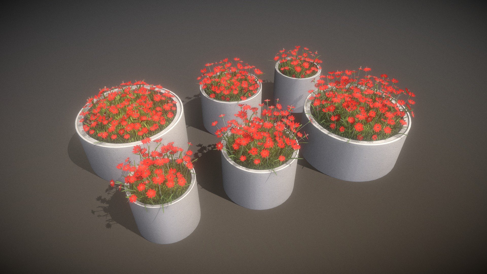 Here are some concrete pipe pots with red flowers.

Parts:

Object Name - Concrete_pot_800mm_Red_Flower_1 

Dimensions -  1.021m x 1.001m x 1.117m



Vertices = 4350


Polygons = 2444



Object Name - Concrete_pot_800mm_Red_Flower_2 

Dimensions -  0.964m x 1.011m x 0.980m



Vertices = 2883


Polygons = 1846



Object Name - Concrete_pot_1000mm_Red_Flower_1 

Dimensions -  1.279m x 1.177m x 1.163m



Vertices = 5475


Edges = 7580
Polygons = 2894



Object Name - Concrete_pot_1000mm_Red_Flower_2 

Dimensions -  1.118m x 1.131m x 1.008m



Vertices = 3803


Polygons = 2240



Object Name - Concrete_pot_1500mm_Red_Flower_1 

Dimensions -  1.621m x 1.609m x 1.163m



Vertices = 8721


Polygons = 4217



Object Name - Concrete_pot_1500mm_Red_Flower_2 

Dimensions -  1.500m x 1.500m x 1.008m



Vertices = 5592


Polygons = 2970


Modeled and textured by 3DHaupt in Blender-2.91 - Concrete Pipe Pots With Red Flowers - Buy Royalty Free 3D model by VIS-All-3D (@VIS-All) 3d model