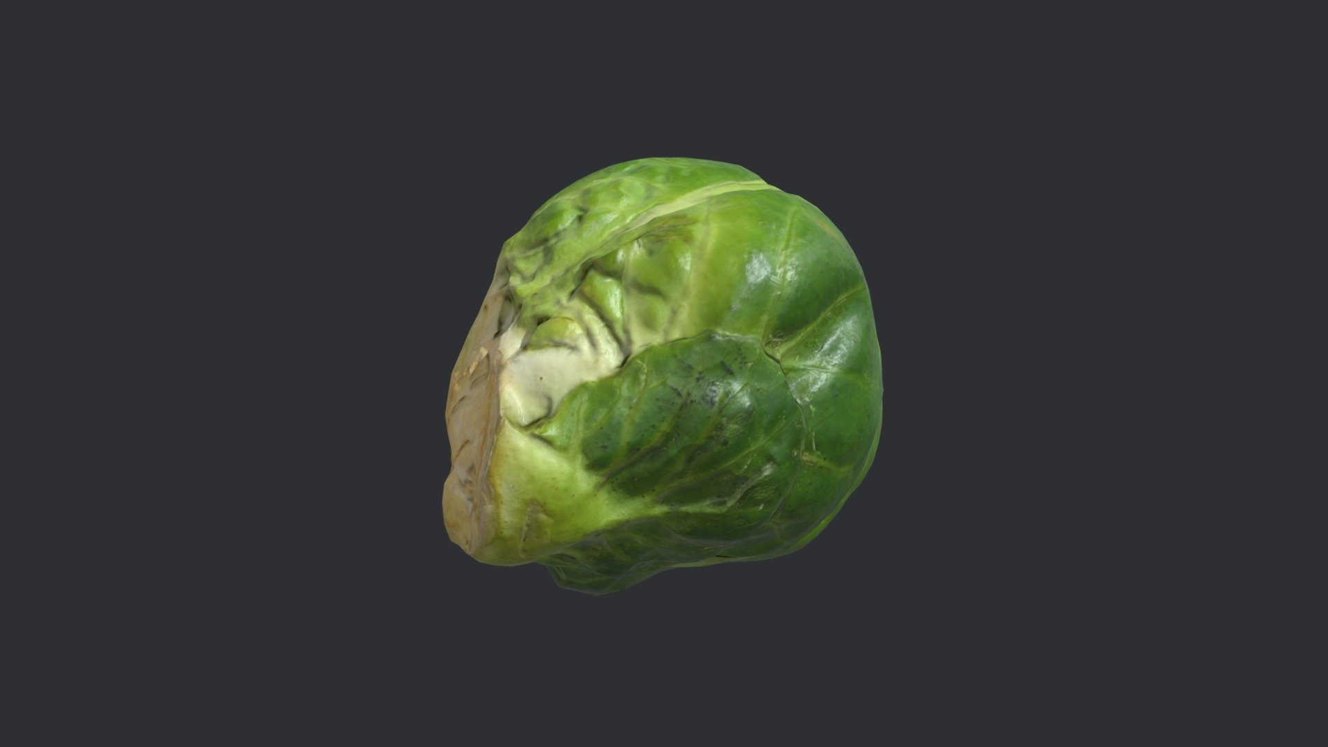 Photogrammetry model of a brussels sprout.

The model has three base levels of detail, optimized into uniform triangles with clean UVs.

Lod 1 = 63,744 tris,

Lod 2 = 3,984 tris,

Lod 3 = 996tris.

The model has 4K PNG textures (Albedo, Normal, Ambient Occlusion, Roughness and Gloss). All levels of detail share the same textures except for the Normal, where each LOD has a unique Normal map.

Lod 2 used for 3D preview with 1K JPG textures.

Real world scale 3d model