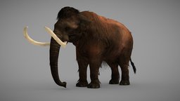 Woolly Mammoth elephant, games, animals, mammut, extinct, game-ready, ice-cream, prehistory, iceage, game-asset, mammoth, woolly, wwb, woollymammoth, mammuthus, ice-age, rigged-character, cenozoic, character, asset, game, gameasset, animal, prehistoric, gameready, riggedcharacter, walkingwithbeasts, woolly-mammoth, extinct-animal