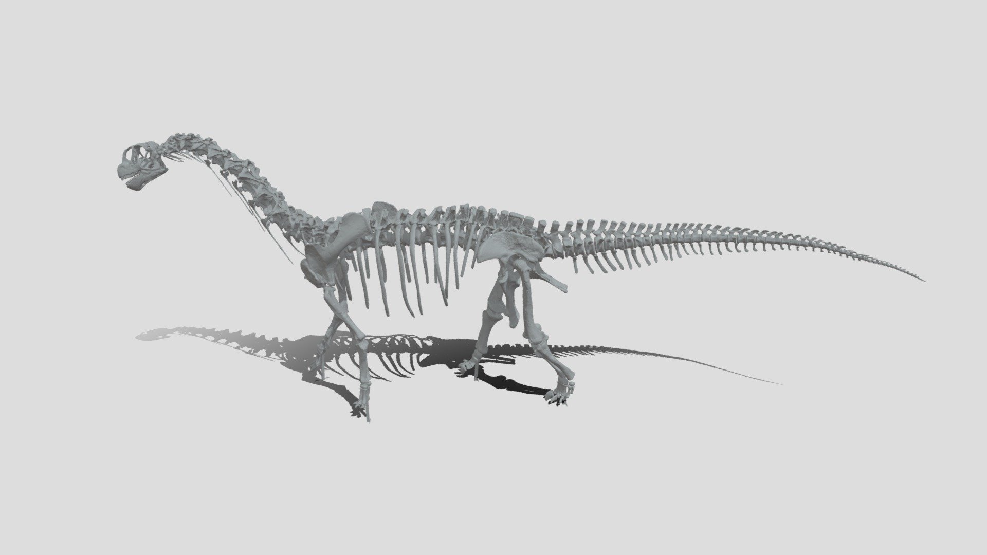 データ容量が半分の軽量版です。
テクスチャもありません。
タブレットやスマホで鑑賞する時にご利用ください。 - カマラサウルス軽量版 - 3D model by museum_natural_history 3d model