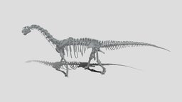 カマラサウルス軽量版 