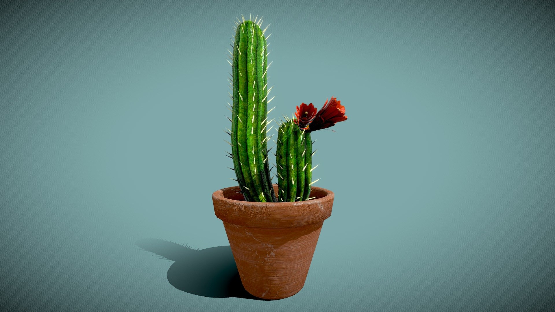 Cactus  in pot

4096x4096 PNG texture - Cactus - Buy Royalty Free 3D model by Karolina Renkiewicz (@KarolinaRenkiewicz) 3d model