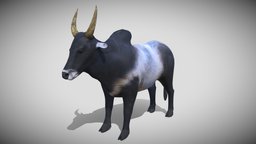 Bull horns, cow, indian, pet, cart, bull, domestic, bison, game, 3d, texture, creature, animal, rigged, gameready